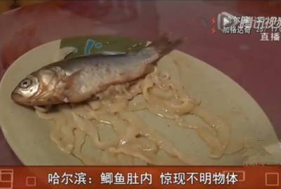 過年吃魚一定要看!發現魚肚子裡有這個東西,趕緊扔掉千萬別吃!肚子裡面竟然是...