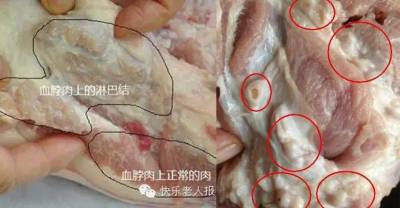 豬肉「這個部位」千萬不能吃!一旦攝取過量輕則噁心嘔吐血壓升高,重則可能神經中毒!99%的人都不知道!
