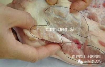 豬肉「這個部位」千萬不能吃!一旦攝取過量輕則噁心嘔吐血壓升高,重則可能神經中毒!99%的人都不知道!