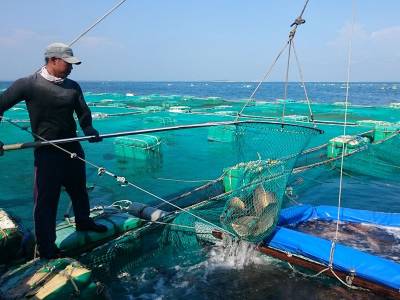 挺過腸癌人生 造就安心食物上桌