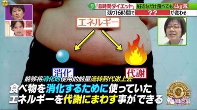 最近日本超流行的「8小時減肥法」，不用節食半個月就能輕鬆減掉4公斤！
