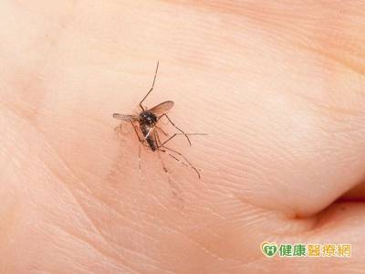 日本腦炎又新增兩例！ 流行高峰期防蚊叮
