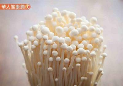 喝金針菇茶能瘦腹 利尿 消水腫?營養師:甩內臟脂肪,必知3關鍵要素!!