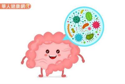 擔心服用益生菌易中毒?不靠益生菌,保健腸道吃這2種食物更安心