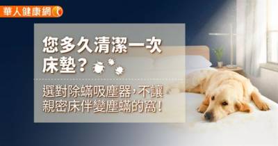 研究:2成民眾從沒清潔過家中床墊!您多久清潔一次床墊?除蟎吸塵器如何選擇?