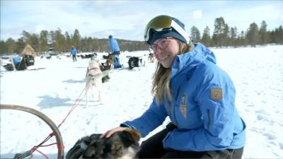 業餘雪橇犬大賽登場 參賽者完成極地長征落淚