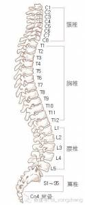 脊椎不好生百病，終於找到調整脊椎的好方法了！真是太簡單！不看真的會後悔！