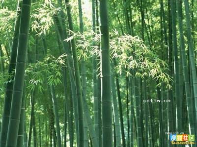 老鼠蟑螂都避之唯恐不及!教你四招辨識致癌「毒筷子」