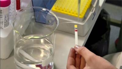 國際田徑總會再下重手 禁俄羅斯參加田徑世錦賽