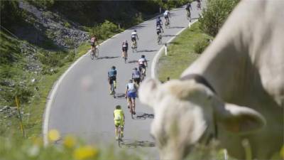 阿爾卑斯山單車巡迴賽 7天800公里長征
