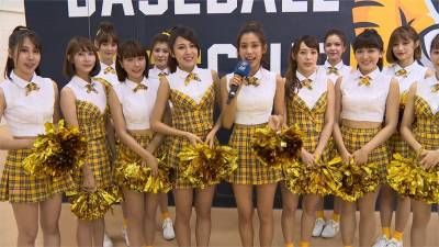 組女團推應援單曲!兄弟象啦啦隊活力滿點