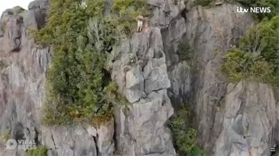 泰國定點跳傘驚魂 卡岩壁受困6小時