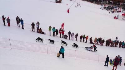 400公里長征!法國雪橇犬大賽橫跨阿爾卑斯山