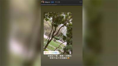 羽球/賽事延期改行練唱歌?戴資穎被點名接力秀歌喉