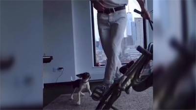 極限好手在哪都能秀!他與愛犬完美演繹花式特技
