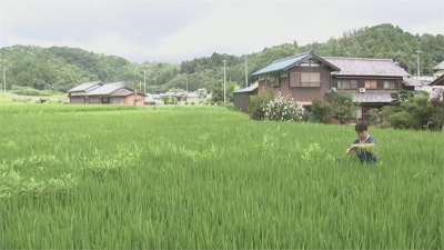 忍者學位來了!學習武術還要務農 日本首位忍者碩士開班授課