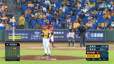 球賽正精采 飛來不速之客 群鳥低空盤旋