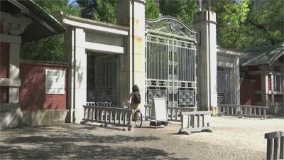夏天太熱 東大教授建議奧運延到11月