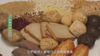 每日均衡補充營養 選食才是最大關鍵