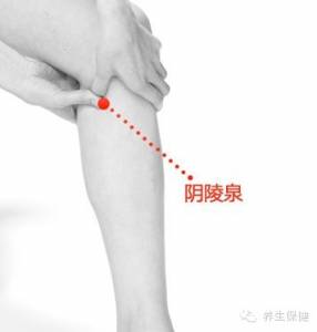 這些不為人知的人體毒素排泄口!每天按,把濕毒排出去,人就會少生病!!