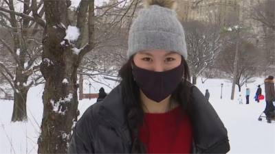 美國紐約積雪60公分 中央公園變身滑雪場