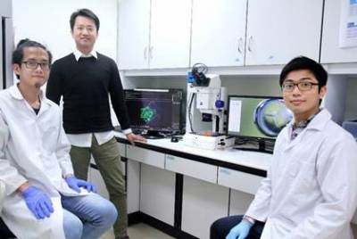陽明交大結構生物學團隊突破性成果 發表於國際期刊《自然通訊》