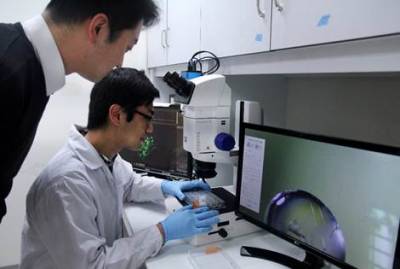 陽明交大結構生物學團隊突破性成果 發表於國際期刊《自然通訊》
