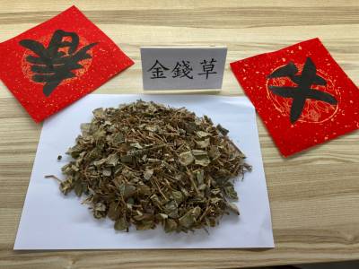 春節期間好發泌尿道發炎 醫師建議避免久坐憋尿小撇步預防保健泌尿道