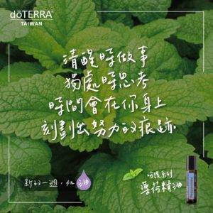 中研院研究 薄荷與紫蘇有效抑制武肺病毒