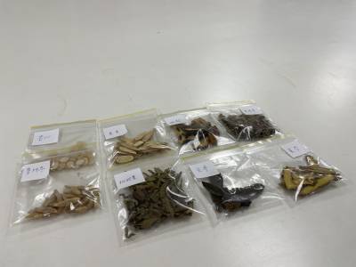 中國醫藥大學新竹附設醫院開發中藥清肺飲 緩解呼吸道症狀