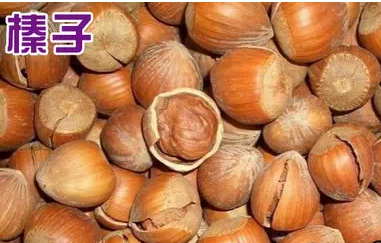 10大堅果這麼驚人:為了您的健康,請花2兩分種看完