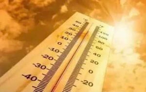 夯番薯高溫35度以上 紫外線過量級以上 防疫也要防曬防中暑