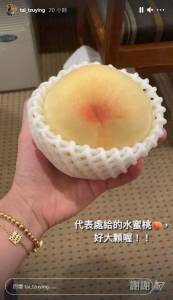 東奧/戴資穎收水蜜桃 謝長廷PO文這樣說