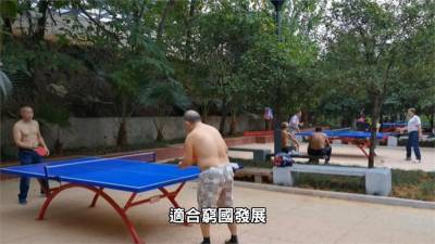 影/桌球賽場各隊都有中國人?他曝「殘酷黑幕」