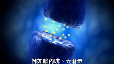 影/這群人比台南人更愛吃甜!型男醫曝關鍵原因
