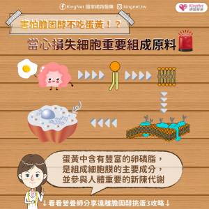 蛋荒!不吃蛋會營養不良?!營養師教你善用食材這樣吃!