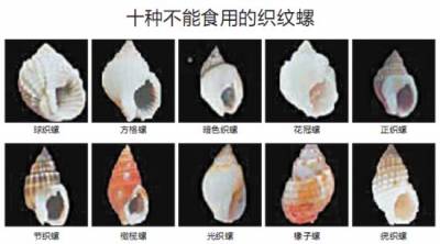 只要「吃一顆」就有可能變成植物人!為了家人的健康你一定要知道!