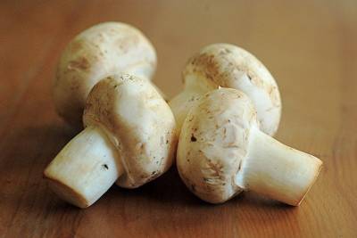 原來「菇菌」對身體竟然這麼好?!營養又豐富,有關「菇菌」的秘密,你一定要知道.....