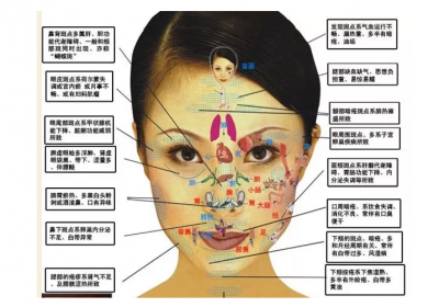 脸部器官名称图片