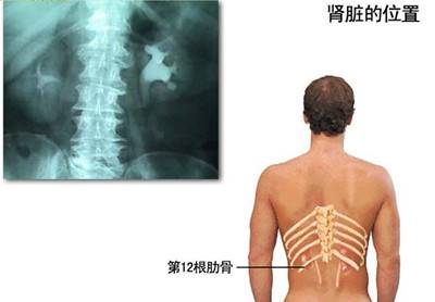 不花一毛錢的「補腎秘方」百試百靈!只公開三天,快收藏起來!!